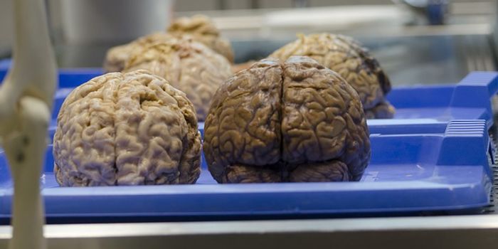 Live from the OR--It's Brain Surgery!