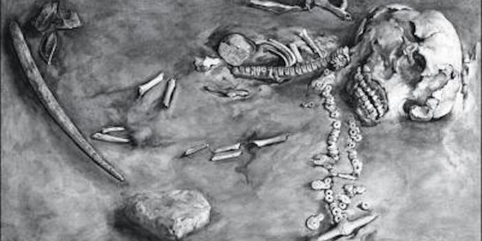 How DNA Has Told Stories of Human History