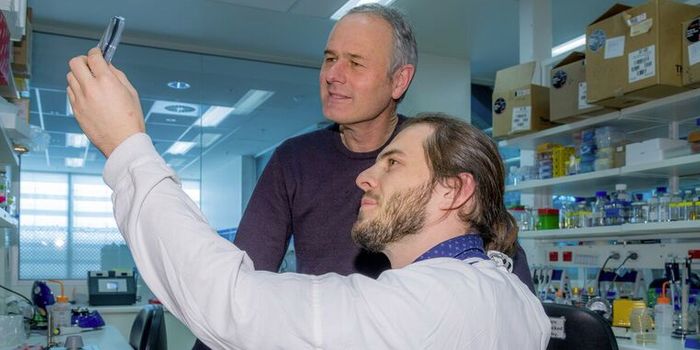 Immune Cells Declare War On Legionnaires' Disease