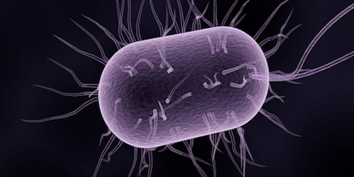 Engineered Microbes can Make Memories