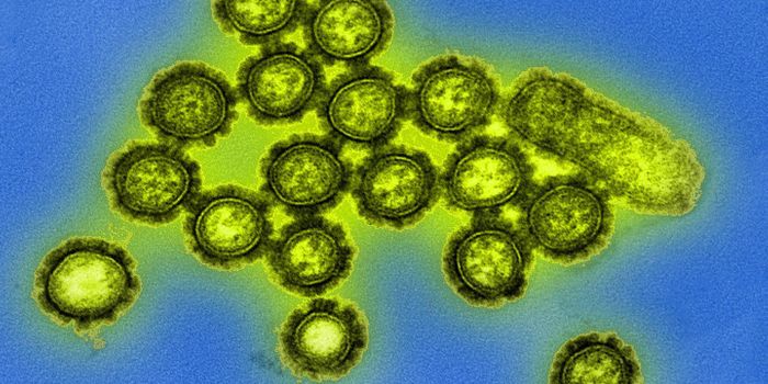 New Drug Can Promote Resistance in the Flu Virus