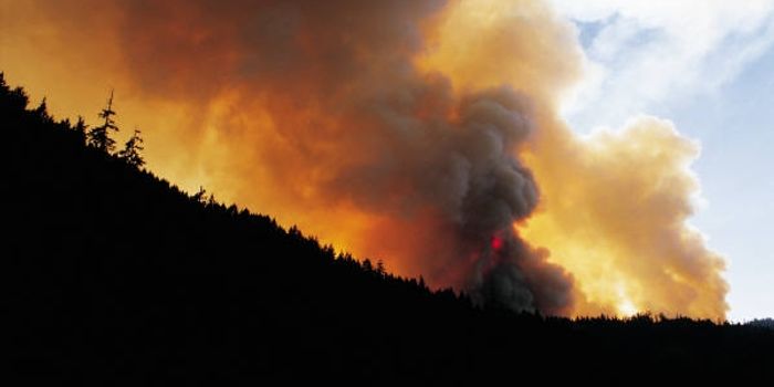 Wildfire smoke puts public health at risk
