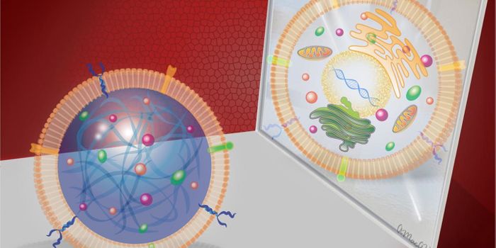 Synthetic Stem Cells may Improve Treatments, Reduce Risks