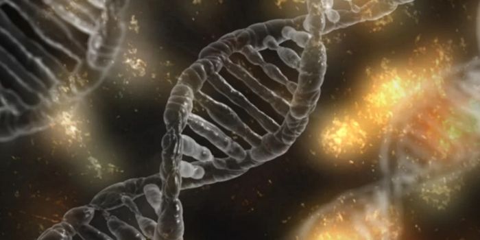 Why Many Human Conceptions Don't Last Until Birth