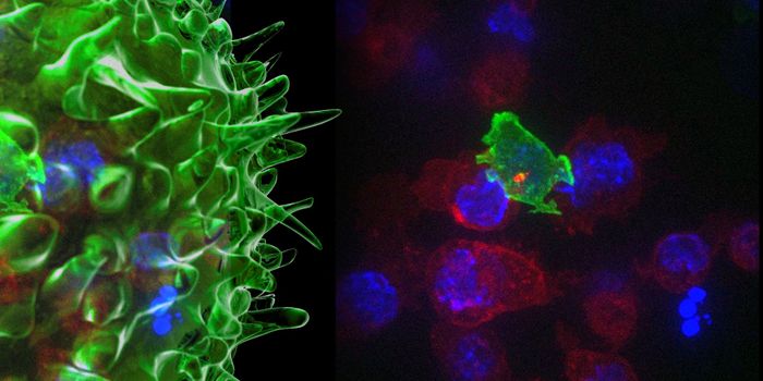 Turning Temporary Cells Into Renewable Tumor-Killing Machines