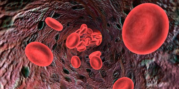Chronic IL-1 Exposure Damages Blood System Health