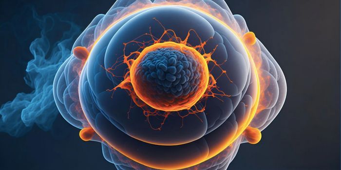 'Dancing' Molecules Promote Cartilage Regeneration Within a Few Days