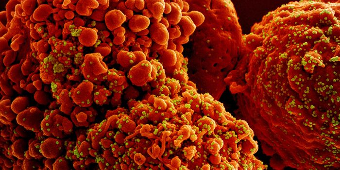 Persistent COVID Cases Seem to Encourage Viral Mutations