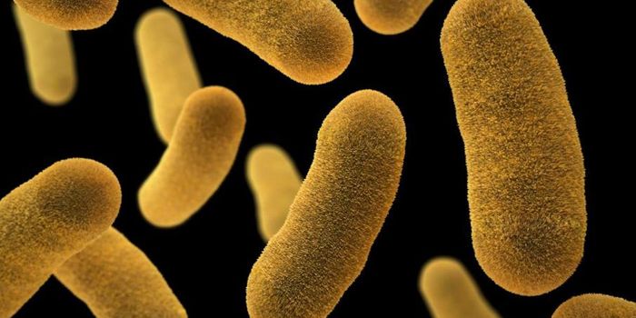 Disrupting tRNA in Bacteria - A Way to Fight Antibiotic Resistant Microbes