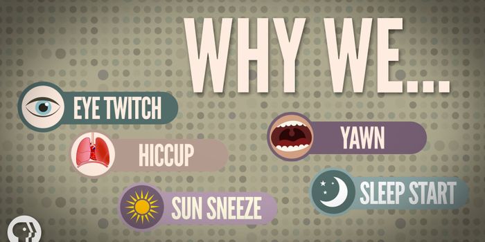 The Science Behind Hiccups & Other Weird Involuntary Behaviors