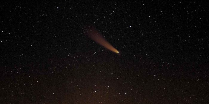 First Visitor from Another Solar System Remains Unknown