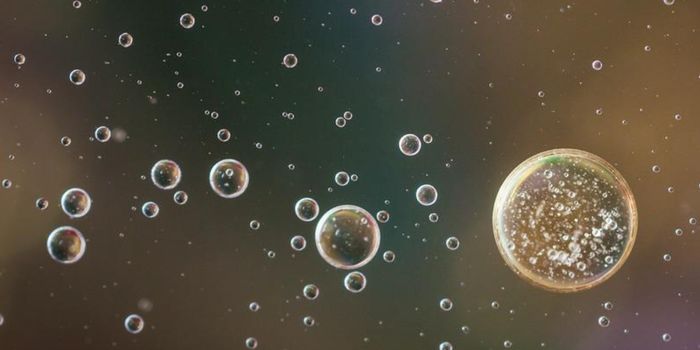 In Cells, There is Phase Separation & Cluster Formation