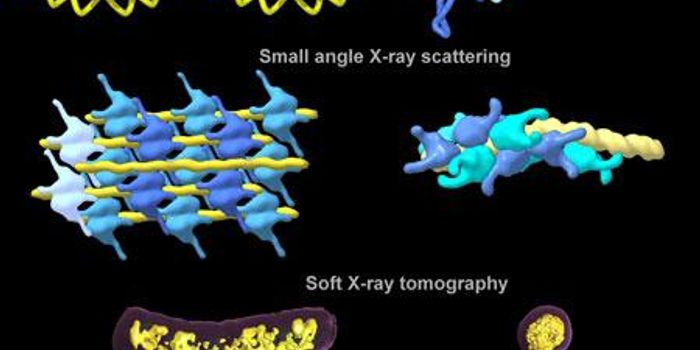 Molecular Switch that Triggers Bacterial Pathogenicity is Found