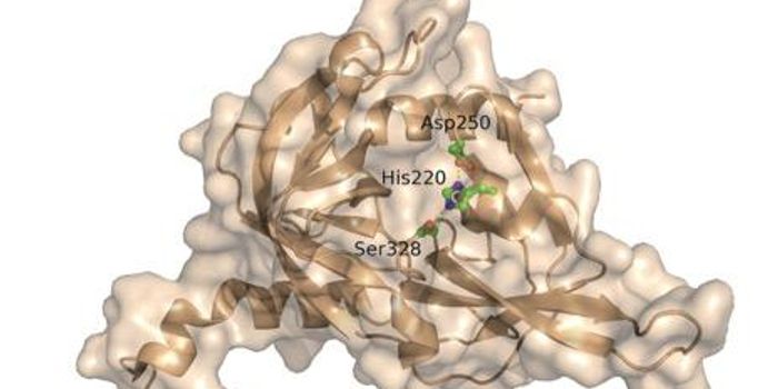 Scientists Discover Biochemical Risk Gene for Alzheimer's