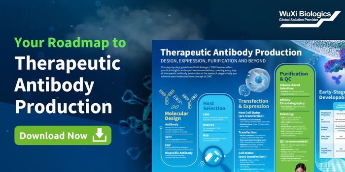 Your Roadmap to Therapeutic Antibody Production