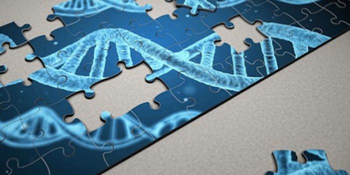 Changes in Non-coding DNA Linked to Autism