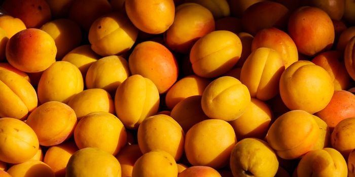 Saving the Georgia Peach from Climate Change