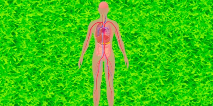 This is What Happens to the Body After Death