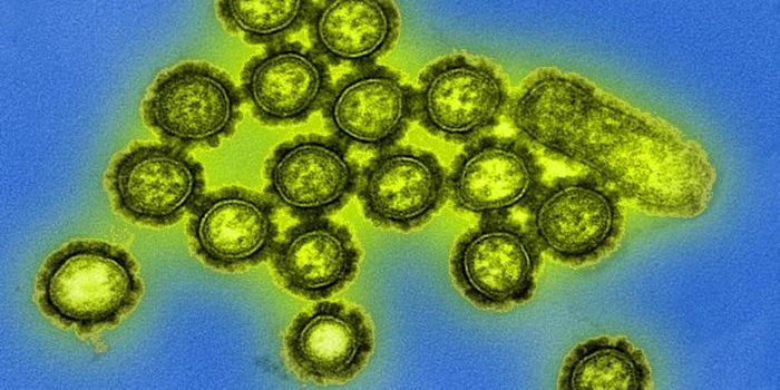 Our Flu Response Is Influenced by Previous Exposures