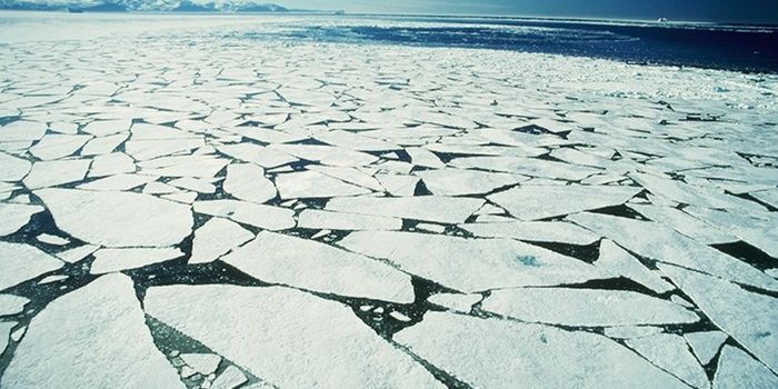 Is the Arctic Ocean turning into the Atlantic?