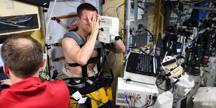 Impact of Space Flight on Human Health: A Focus on the Eye