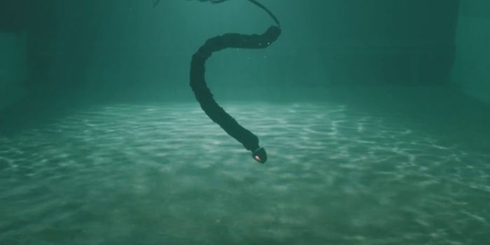 These Creepy Terminator-Style Robotic Water Snakes Will Soon Be a Reality