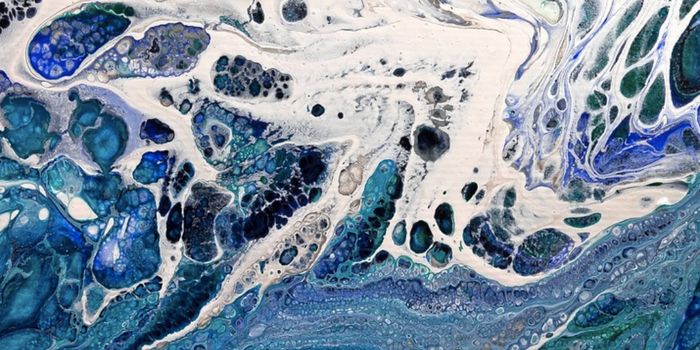 How the Human Gut Microbiome Has Diverged From Those of Our Ancestors