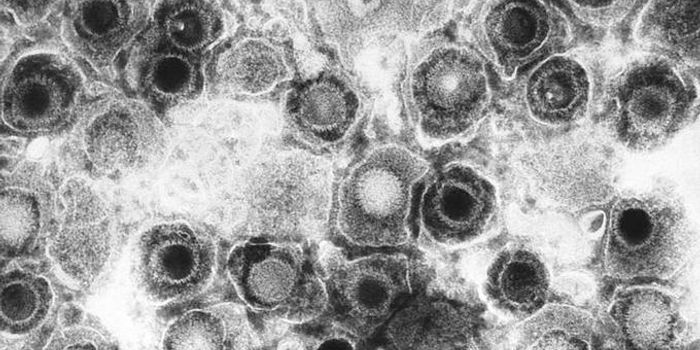 Genomic Tools Can Save Lives