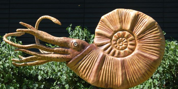 460-Million-Year-Old Ancestor of the Vampire Squid Discovered with Ten Functional Arms