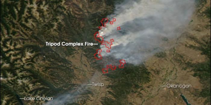 REBURN: Modeling Strategies to Manage Wildfires and Forest Resilience