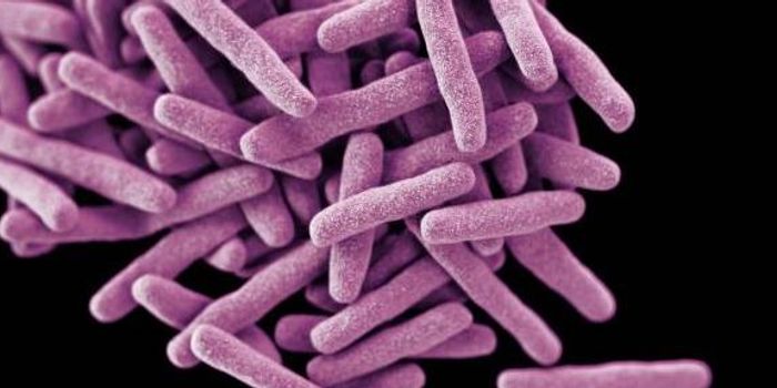 The 'Molecular Key' in Developing Tuberculosis Drugs