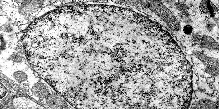 Treating Heart Failure by Targeting a Mitochondrial Protein