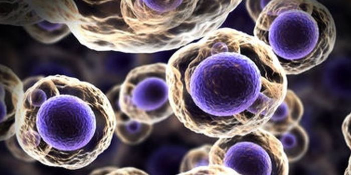 Scientists Solve Major Cancer Protein Conundrum