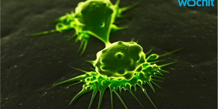 Pancreatic Cancer and Schizophrenia Drugs