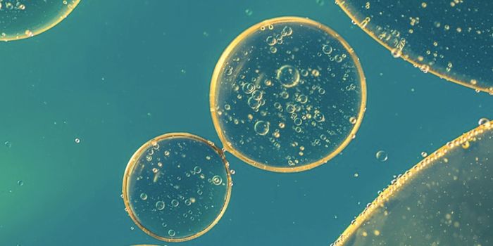 Investigating the Microbiome of Metastatic Cancer