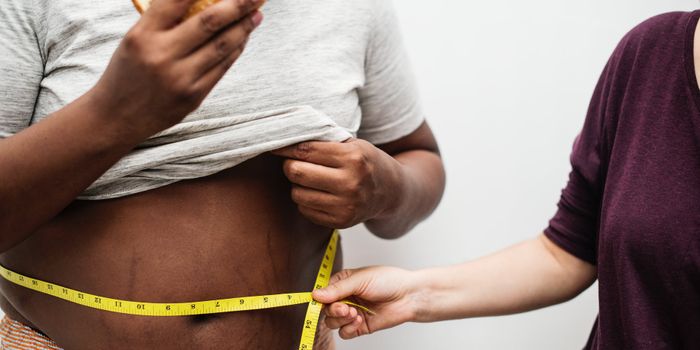 New Study Sheds Lights On Fat Formation