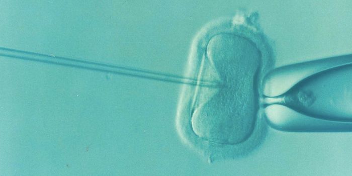 Is the Preimplantation Genetic Diagnosis of Embryos Being Oversold?
