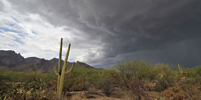 American Southwest threatened by heavy-rain monsoons