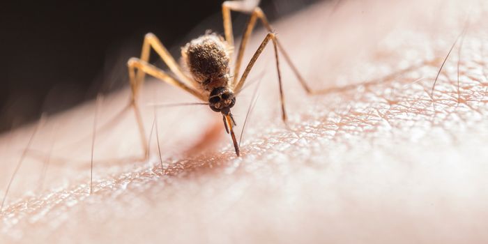A Smartphone App that Identifies Disease-Carrying, Insecticide-Resistant Mosquitos.