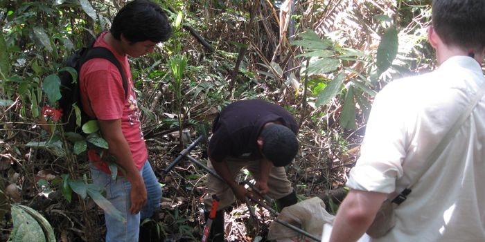 Peatlands may soon become carbon sources