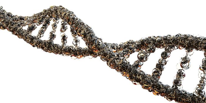 New Genetic Test Rapidly IDs Over 50 Difficult-to-Diagnose Disorders