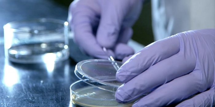 Learning how Bacterial Chemicals Impact Human Health