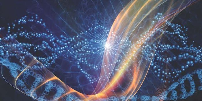 Are You a Leader? Check for Dopamine Transporter Gene DAT1