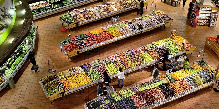 What is a Sustainable Diet, and How Can We Balance Health With Sustainable Foods?