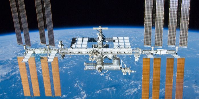 Long-Term International Space Station Experiment Highlights Risks for Future Human Spaceflight