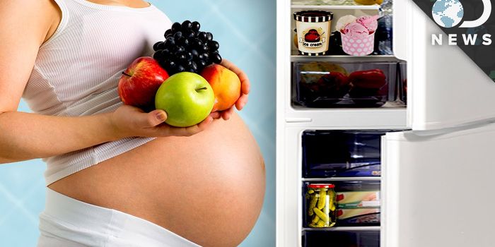 The Calorie Cost of Building a Little Human