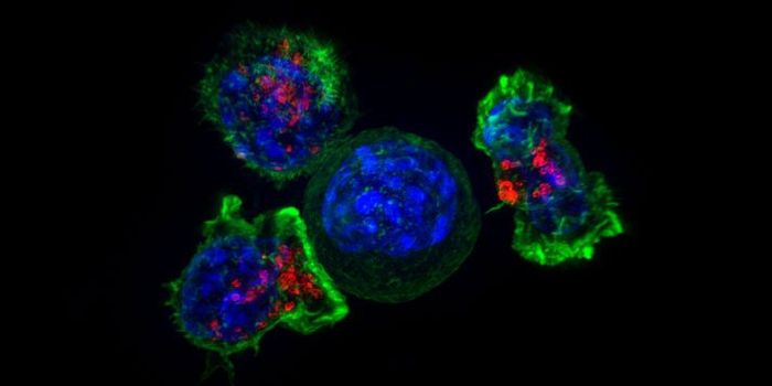 Switching On Immune Cells for Cancer Therapy