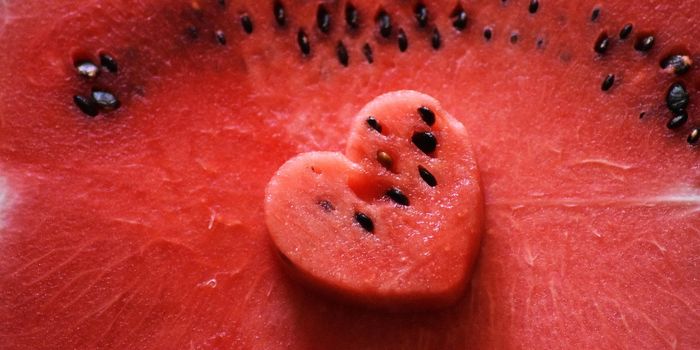 Novel Cells Found to Drive Heart Failure Progression