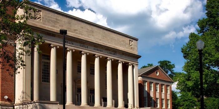 Lower Income Charter High School Graduates Have Lower Rates of Substance Abuse