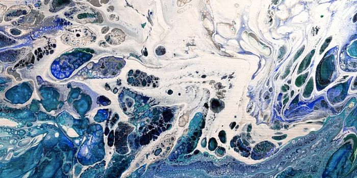 Newly Identified Cell Type is Linked to Chronic Skin Disorders